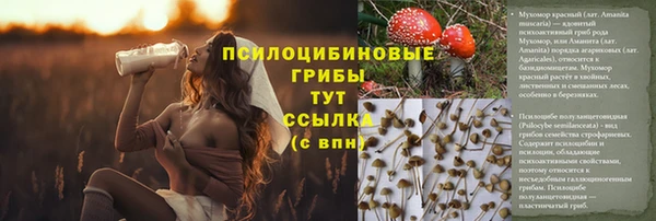 Альфа ПВП Абаза