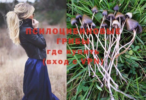тгк Абинск