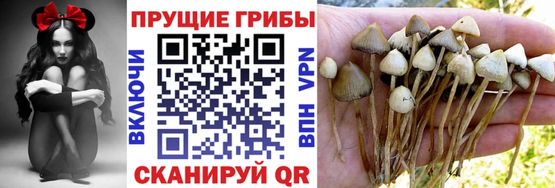Галлюциногенные грибы мухоморы продажа наркотиков ссылка на мегу ТОР Терек