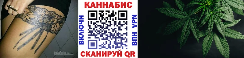 дарнет шоп  Терек  Шишки марихуана план 